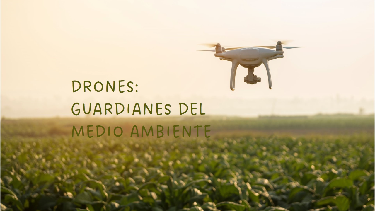 El Papel de los Drones en la Conservación del Medio Ambiente: Casos de Éxito